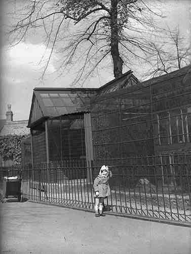 Aviary (around 1940s-50)
